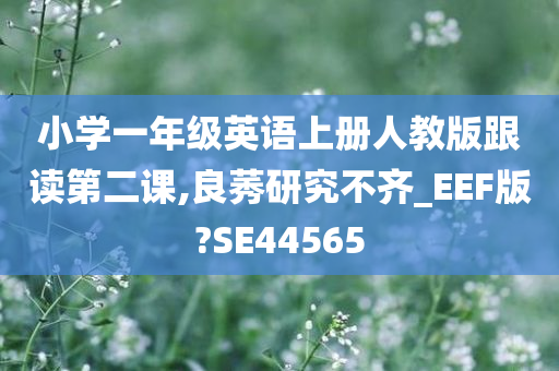 小学一年级英语上册人教版跟读第二课,良莠研究不齐_EEF版?SE44565