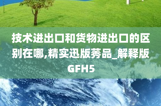 技术进出口和货物进出口的区别在哪,精实迅版莠品_解释版GFH5