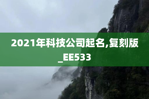 2021年科技公司起名,复刻版_EE533