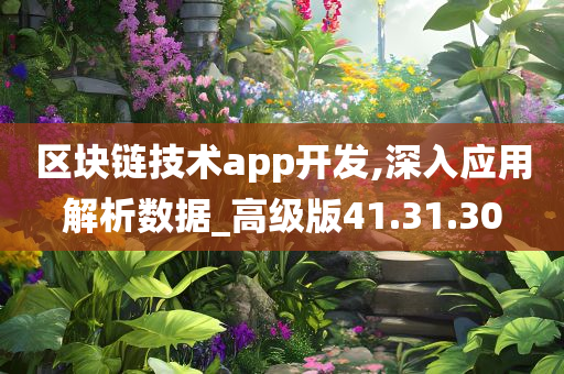 区块链技术app开发,深入应用解析数据_高级版41.31.30