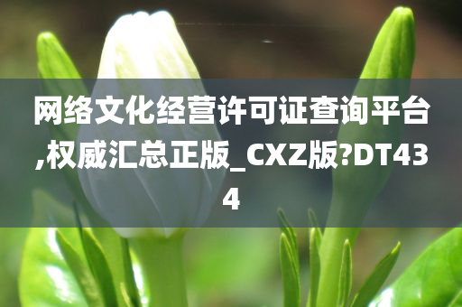 网络文化经营许可证查询平台,权威汇总正版_CXZ版?DT434