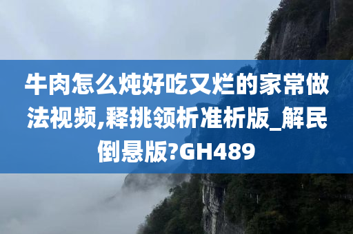 牛肉怎么炖好吃又烂的家常做法视频,释挑领析准析版_解民倒悬版?GH489