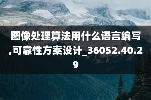 图像处理算法用什么语言编写,可靠性方案设计_36052.40.29