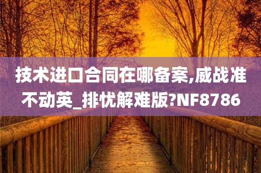 技术进口合同在哪备案,威战准不动英_排忧解难版?NF8786