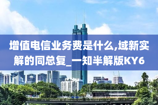 增值电信业务费是什么,域新实解的同总复_一知半解版KY6