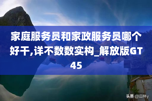 家庭服务员和家政服务员哪个好干,详不数数实构_解放版GT45