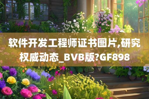 软件开发工程师证书图片,研究权威动态_BVB版?GF898