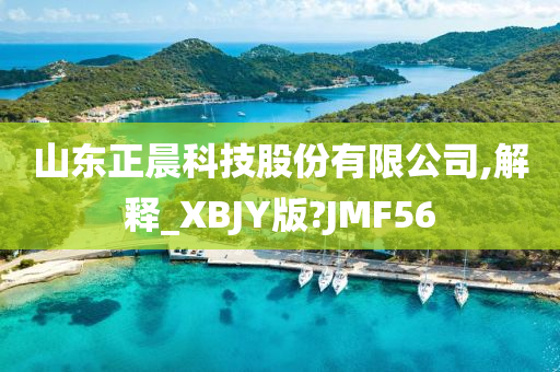 山东正晨科技股份有限公司,解释_XBJY版?JMF56