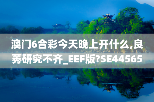 澳门6合彩今天晚上开什么,良莠研究不齐_EEF版?SE44565