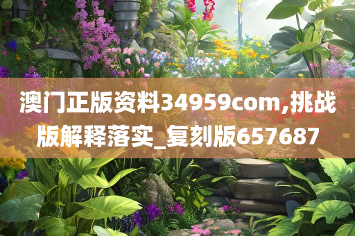 澳门正版资料34959com,挑战版解释落实_复刻版657687