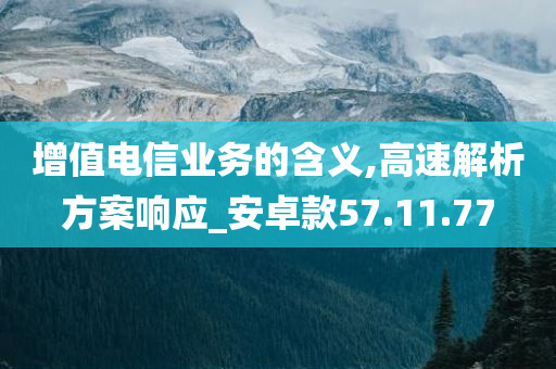 增值电信业务的含义,高速解析方案响应_安卓款57.11.77