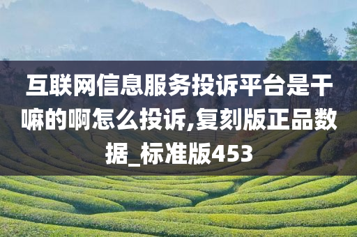 互联网信息服务投诉平台是干嘛的啊怎么投诉,复刻版正品数据_标准版453