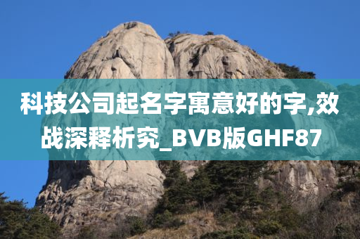 科技公司起名字寓意好的字,效战深释析究_BVB版GHF87