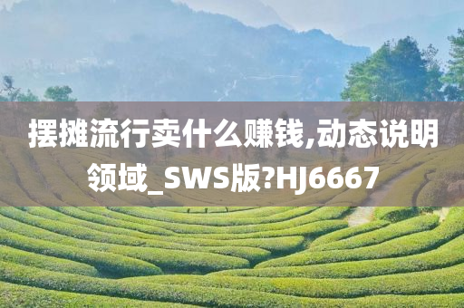 摆摊流行卖什么赚钱,动态说明领域_SWS版?HJ6667