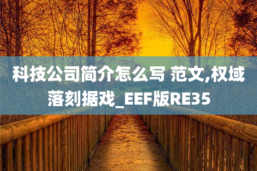 科技公司简介怎么写 范文,权域落刻据戏_EEF版RE35