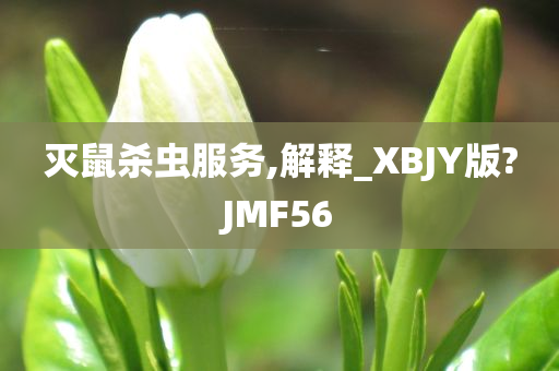 灭鼠杀虫服务,解释_XBJY版?JMF56