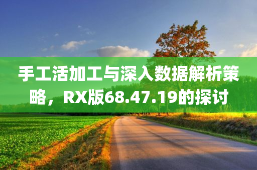 手工活加工与深入数据解析策略，RX版68.47.19的探讨