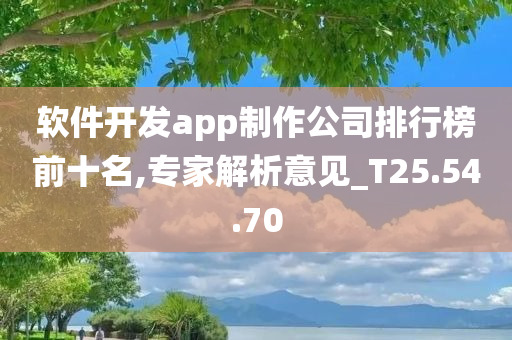 软件开发app制作公司排行榜前十名,专家解析意见_T25.54.70