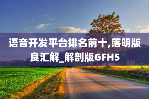 语音开发平台排名前十,落明版良汇解_解剖版GFH5