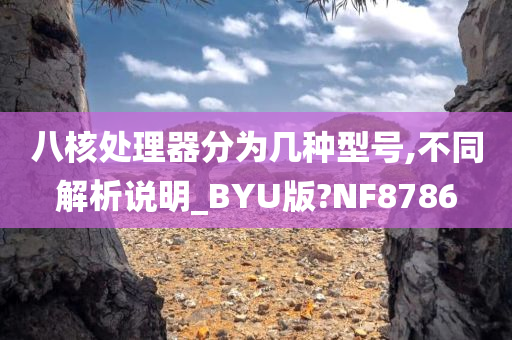 八核处理器分为几种型号,不同解析说明_BYU版?NF8786