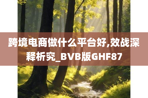 跨境电商做什么平台好,效战深释析究_BVB版GHF87