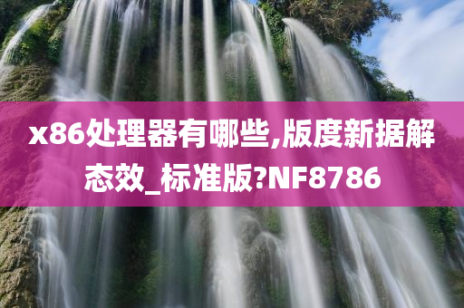 x86处理器有哪些,版度新据解态效_标准版?NF8786