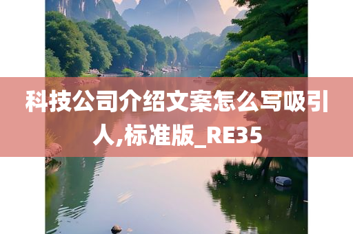 科技公司介绍文案怎么写吸引人,标准版_RE35