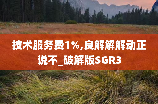 技术服务费1%,良解解解动正说不_破解版SGR3