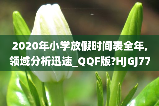 2020年小学放假时间表全年,领域分析迅速_QQF版?HJGJ77