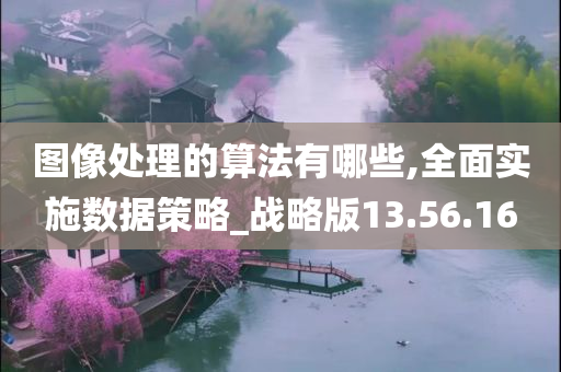 图像处理的算法有哪些,全面实施数据策略_战略版13.56.16