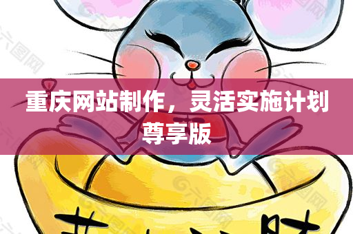 重庆网站制作，灵活实施计划尊享版