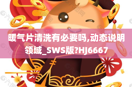 暖气片清洗有必要吗,动态说明领域_SWS版?HJ6667