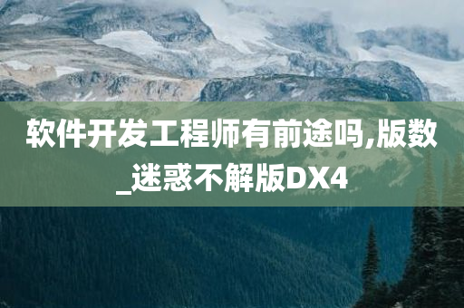 软件开发工程师有前途吗,版数_迷惑不解版DX4