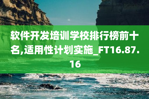 软件开发培训学校排行榜前十名,适用性计划实施_FT16.87.16