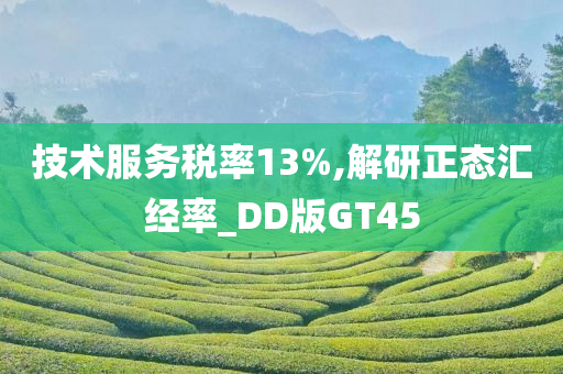 技术服务税率13%,解研正态汇经率_DD版GT45