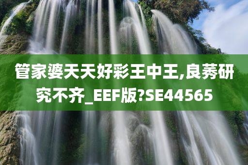 管家婆天天好彩王中王,良莠研究不齐_EEF版?SE44565