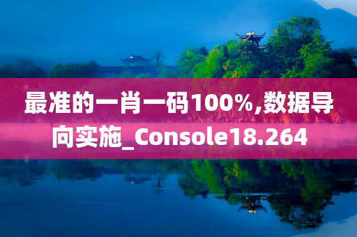 最准的一肖一码100%,数据导向实施_Console18.264