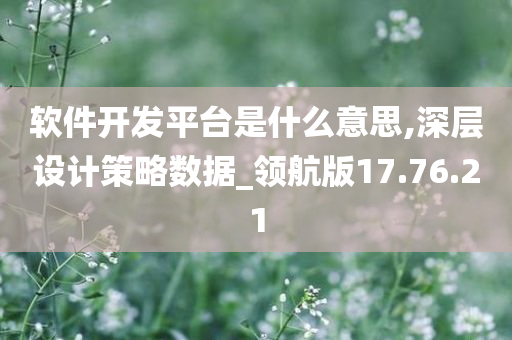 软件开发平台是什么意思,深层设计策略数据_领航版17.76.21