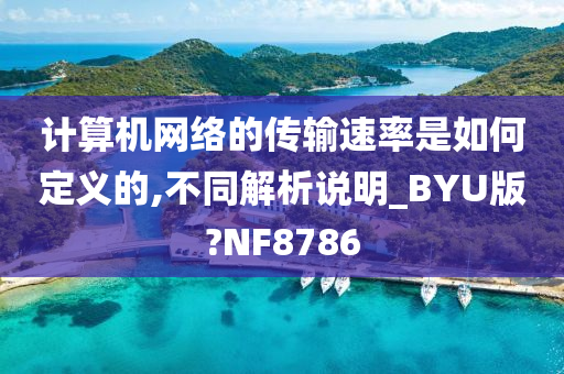 计算机网络的传输速率是如何定义的,不同解析说明_BYU版?NF8786