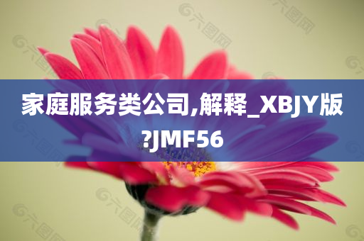 家庭服务类公司,解释_XBJY版?JMF56