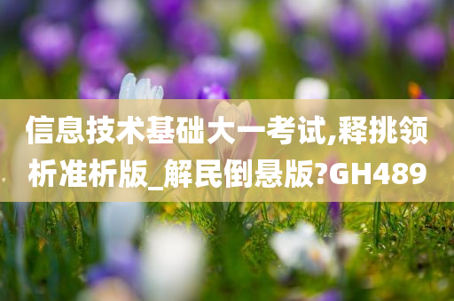 信息技术基础大一考试,释挑领析准析版_解民倒悬版?GH489