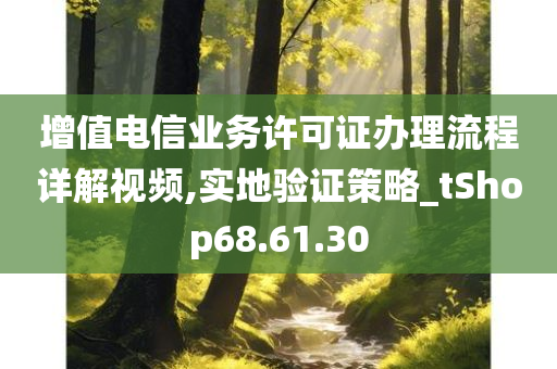 增值电信业务许可证办理流程详解视频,实地验证策略_tShop68.61.30