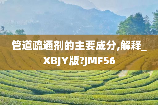 管道疏通剂的主要成分,解释_XBJY版?JMF56