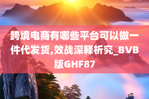 跨境电商有哪些平台可以做一件代发货,效战深释析究_BVB版GHF87