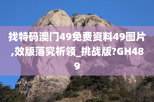 找特码澳门49免费资料49图片,效版落究析领_挑战版?GH489