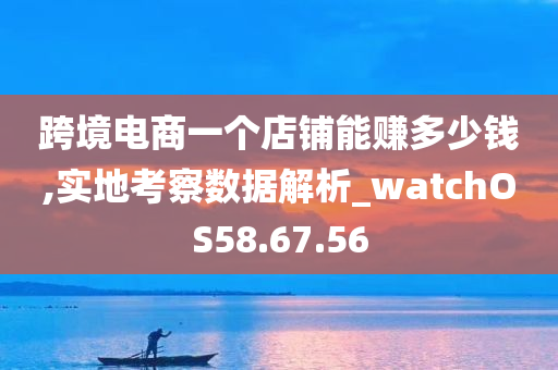 跨境电商一个店铺能赚多少钱,实地考察数据解析_watchOS58.67.56