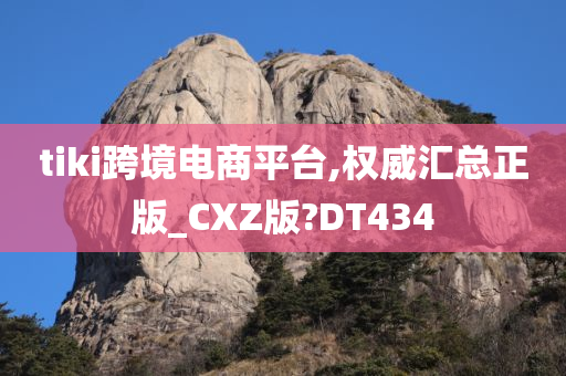 tiki跨境电商平台,权威汇总正版_CXZ版?DT434