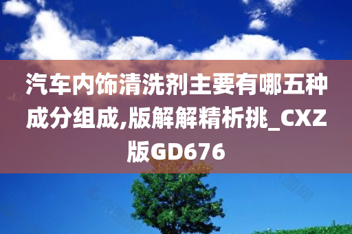 汽车内饰清洗剂主要有哪五种成分组成,版解解精析挑_CXZ版GD676