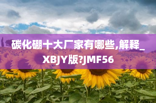 碳化硼十大厂家有哪些,解释_XBJY版?JMF56