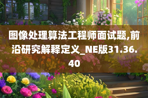 图像处理算法工程师面试题,前沿研究解释定义_NE版31.36.40